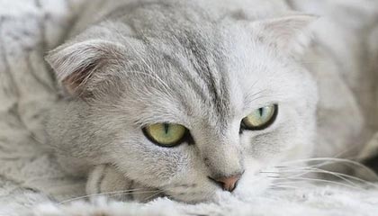 宁波最新的高价医保个人账户余额微信查询方法分享(宁波医保查询个人账户明细怎么查微信教程)