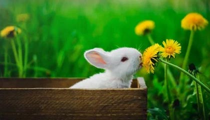 宁波最新的高价医保个人账户余额微信查询方法分享(宁波医保查询个人账户明细怎么查微信教程)